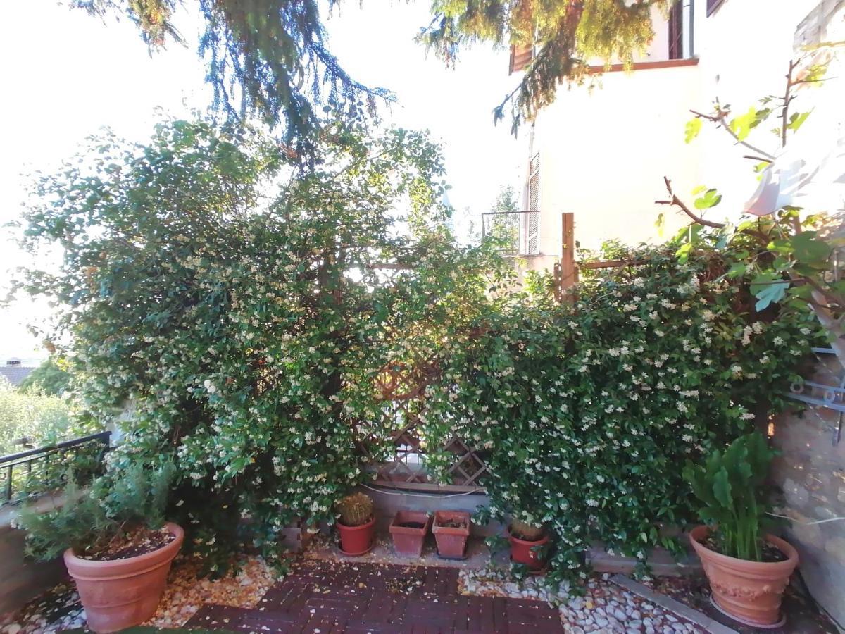 Assisi Garden Suite Luaran gambar